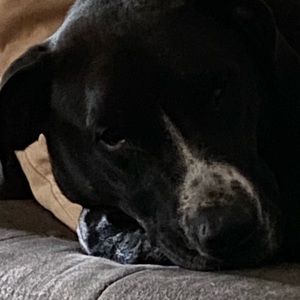 Meet your Posher, Gene